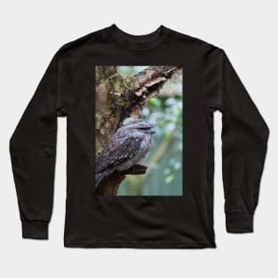 Tawny Frogmouth 1 Long Sleeve T-Shirt